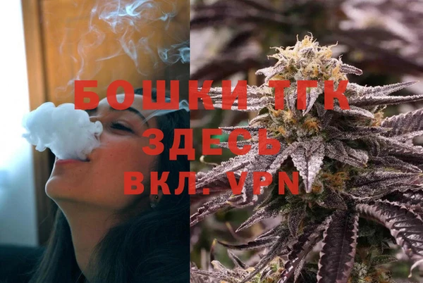индика Армянск