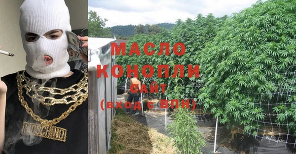 индика Армянск