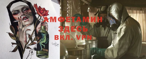 ECSTASY Богданович